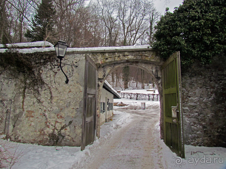 Гора Капуцинов (Kapuzinerberg) - зимний выход "на природу"