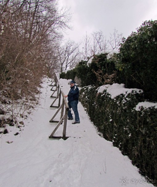 Гора Капуцинов (Kapuzinerberg) - зимний выход "на природу"