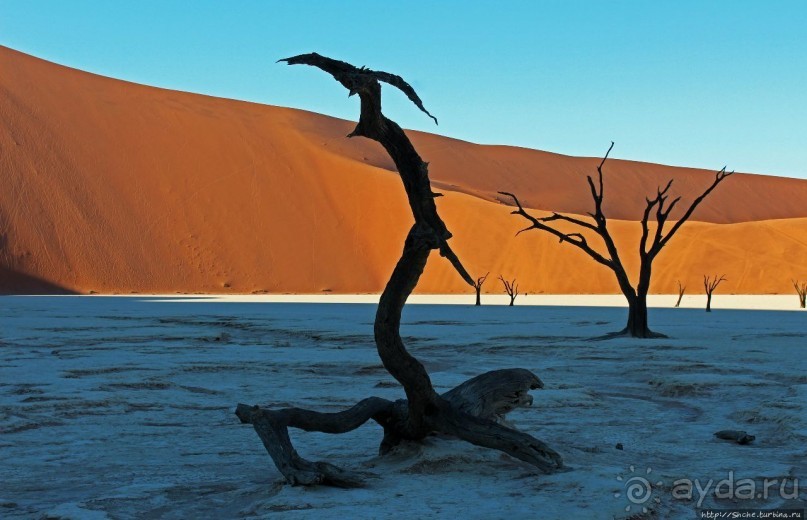 Смерть ей к лицу