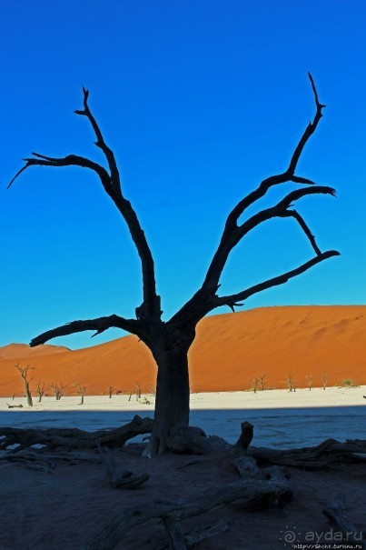 Смерть ей к лицу