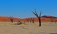 Смерть ей к лицу