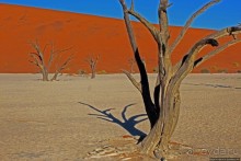 Смерть ей к лицу