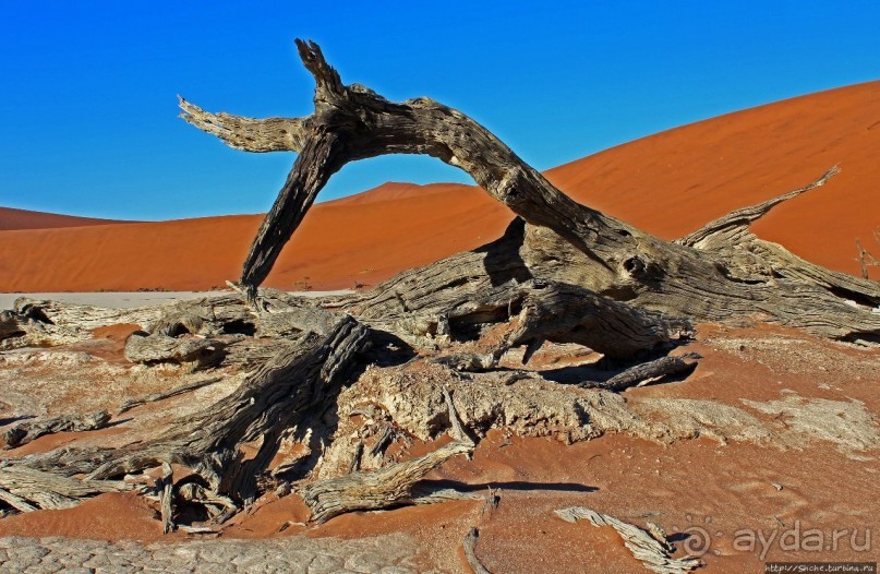 Смерть ей к лицу