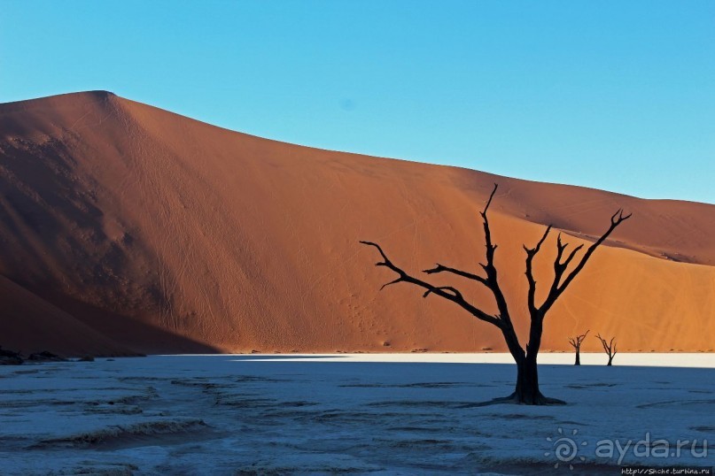 Смерть ей к лицу