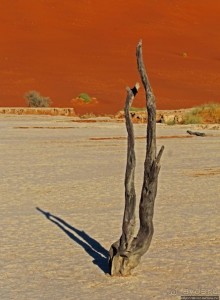 Смерть ей к лицу