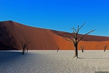 Смерть ей к лицу