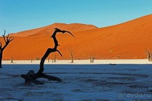 Смерть ей к лицу