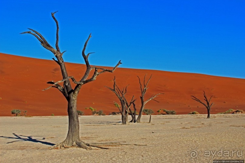 Смерть ей к лицу