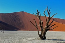 Смерть ей к лицу