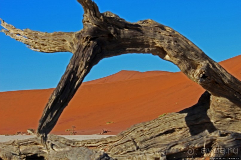 Смерть ей к лицу