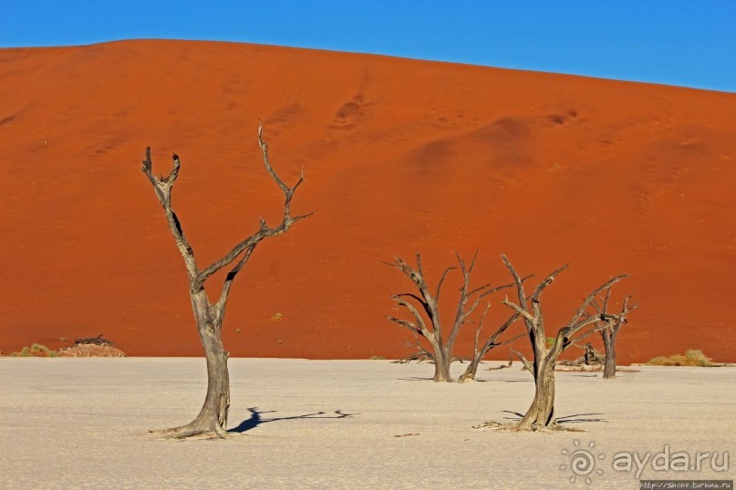 Смерть ей к лицу