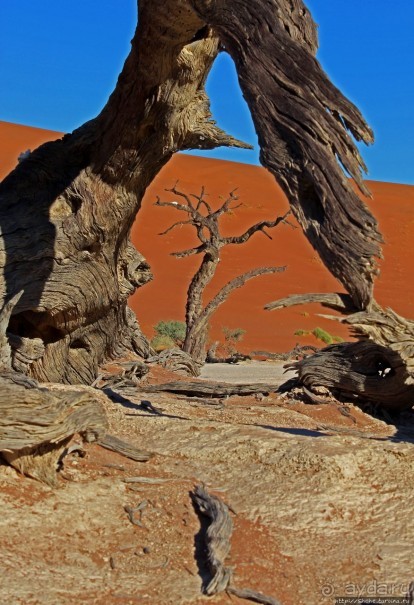 Смерть ей к лицу