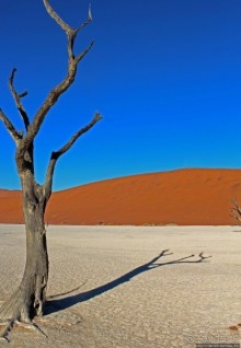 Смерть ей к лицу