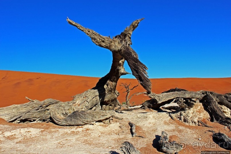 Смерть ей к лицу