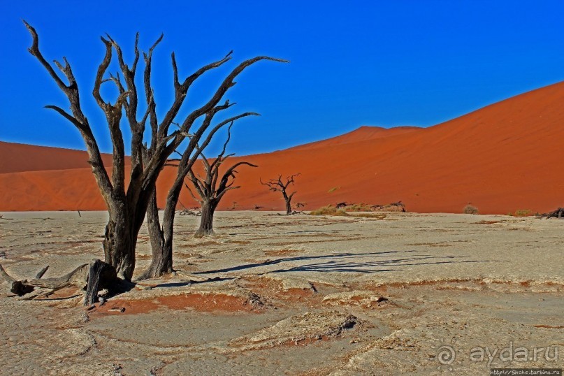 Смерть ей к лицу