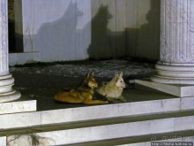 Библиотека Адриана и Римский форум — античность не отпускает