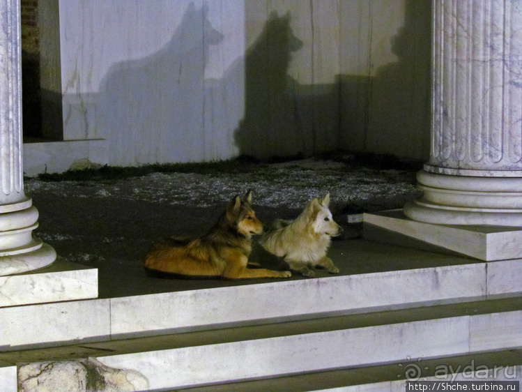 Библиотека Адриана и Римский форум — античность не отпускает