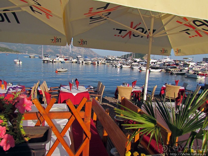 Порт в Будве, ну или скорее, стоянка для яхт и катеров