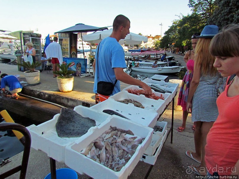 Порт в Будве, ну или скорее, стоянка для яхт и катеров