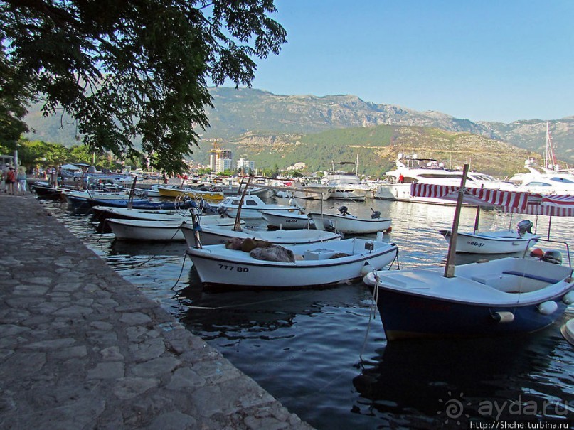 Порт в Будве, ну или скорее, стоянка для яхт и катеров