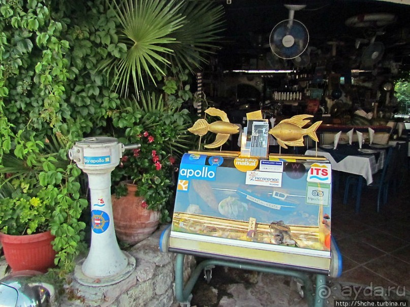 Порт в Будве, ну или скорее, стоянка для яхт и катеров