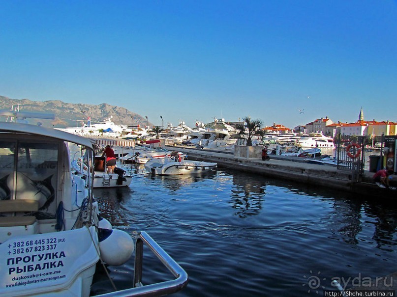 Порт в Будве, ну или скорее, стоянка для яхт и катеров