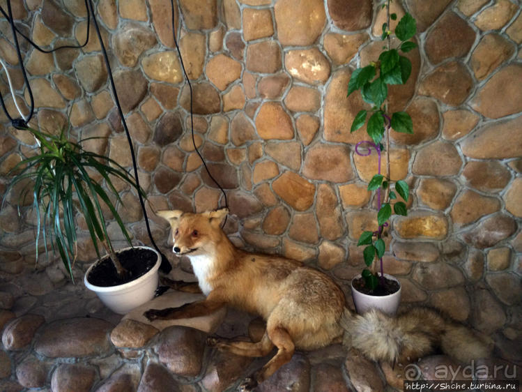 Еще одно душевное место на трассе Харьков-Киев