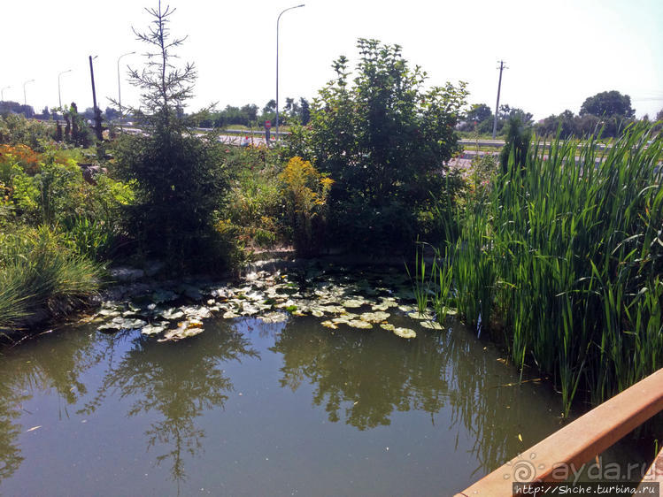 Еще одно душевное место на трассе Харьков-Киев