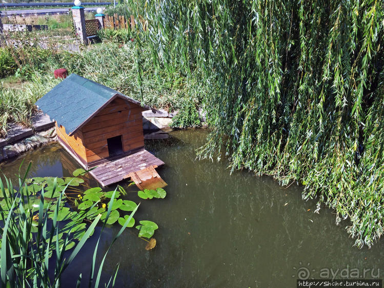 фото Киевской области