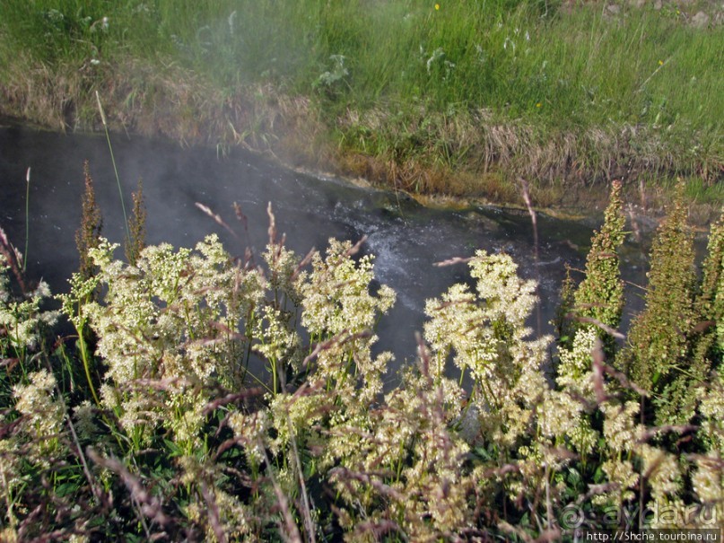 " Молочные реки с кисельными берегами", район Akranes