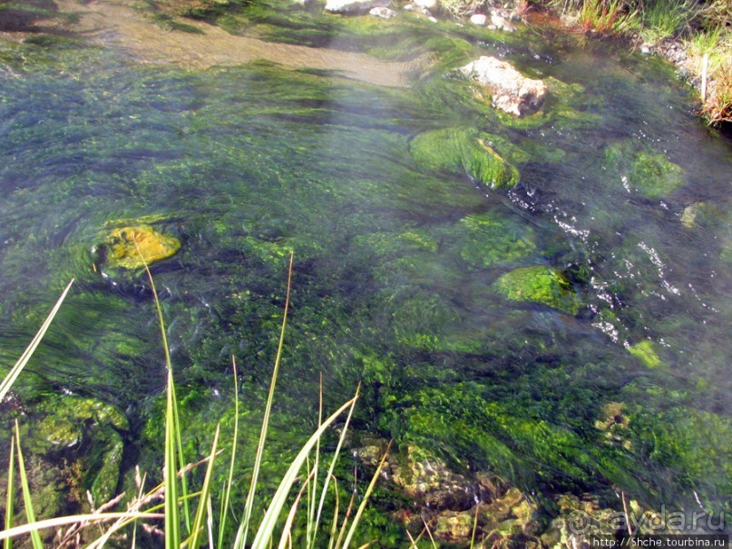 " Молочные реки с кисельными берегами", район Akranes