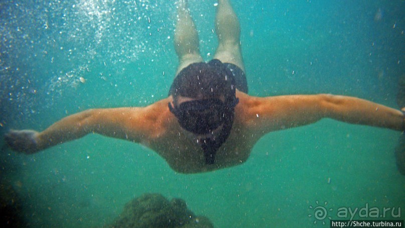 Обитатели Ханаума-Бей — рыбы, кораллы, ежи и... мы недолго