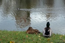 Ансамбль Новодевичьего монастыря — объект ЮНЕСКО №1097