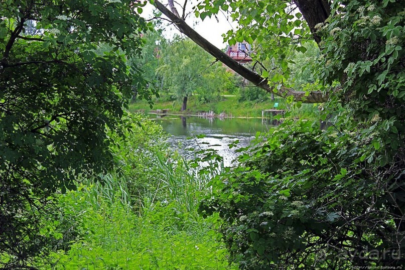 На вотчине именитого казацкого рода