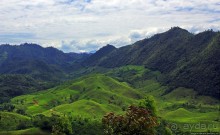 Гватемала. Зелено!