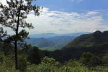 Гватемала. Зелено!