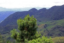 Гватемала. Зелено!