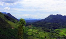 Гватемала. Зелено!