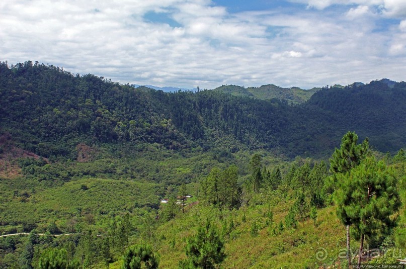 Гватемала. Зелено!