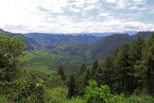 Гватемала. Зелено!