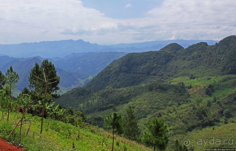 Гватемала. Зелено!
