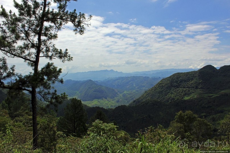 Гватемала. Зелено!