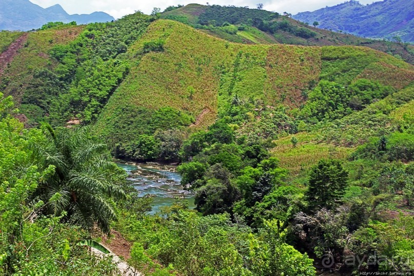 Гватемала. Зелено!