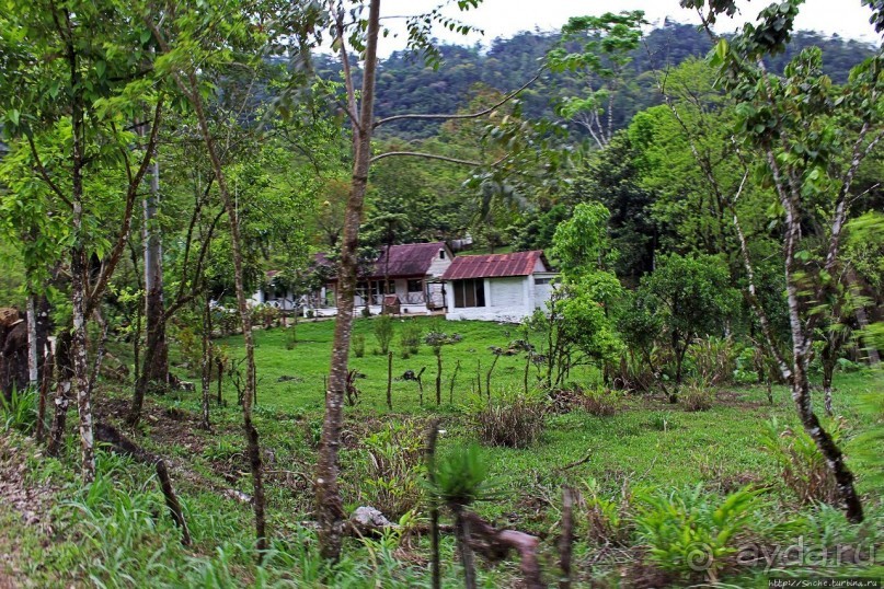 Гватемала. Зелено!