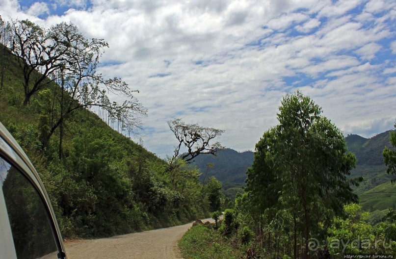 Гватемала. Зелено!