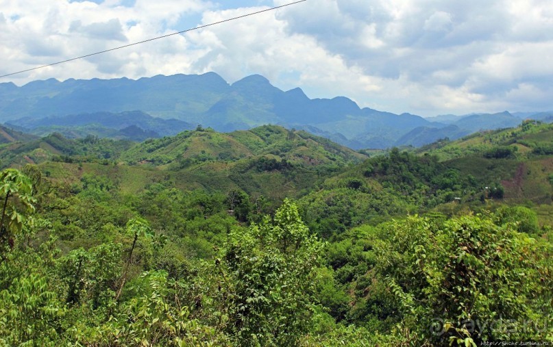 Гватемала. Зелено!
