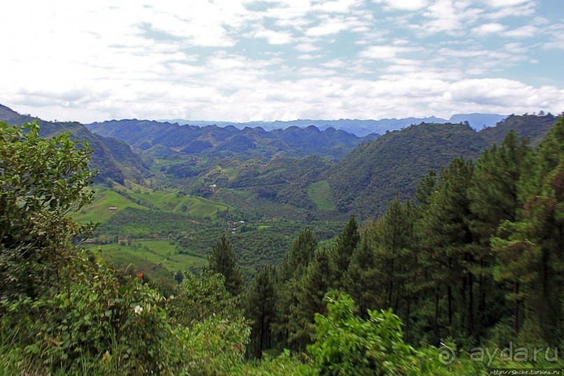 Гватемала. Зелено!