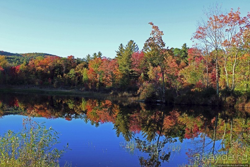 В гостях у Радуги. Клаксбург с лобстерами и хорошей погодой