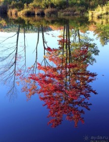 В гостях у Радуги. Клаксбург с лобстерами и хорошей погодой
