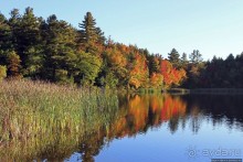 В гостях у Радуги. Клаксбург с лобстерами и хорошей погодой